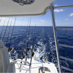 deep sea fishing Watching the Lines