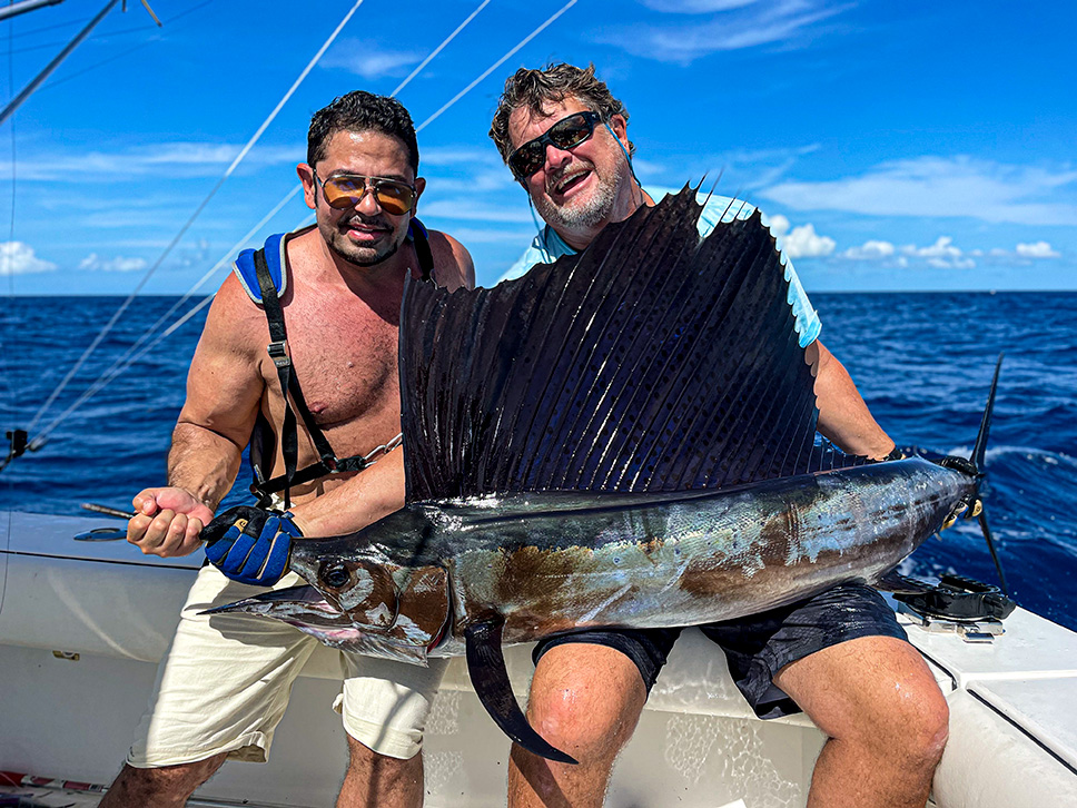 Read more about the article November Delights Mahi and Sailfish