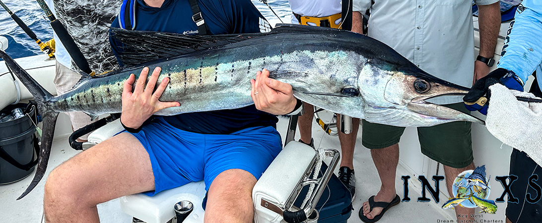 Read more about the article December For Sailfish And Wahoo