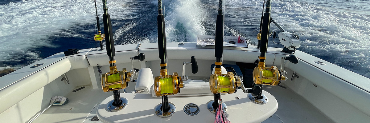 Read more about the article What Is Deep Sea Fishing