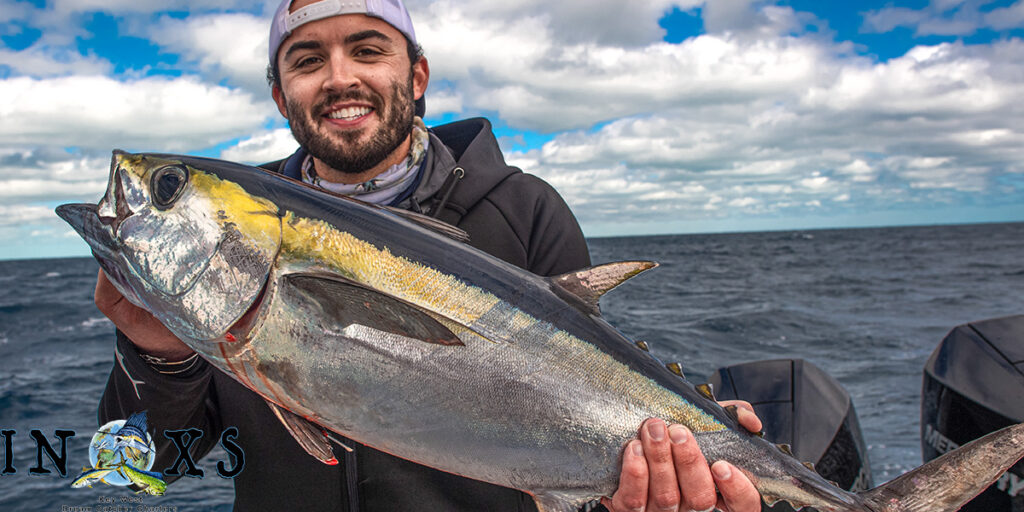 Key West fish species calendar blackfin tuna