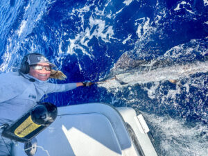 Key West fishing report sailfish release