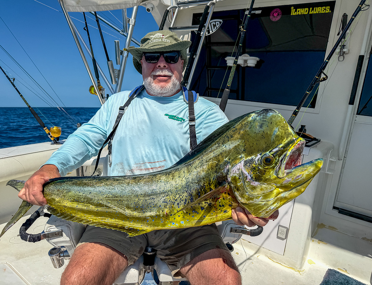 Read more about the article Mahi Mahi February