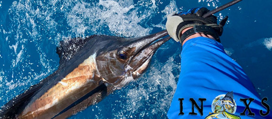 Deep sea fishing sailfish