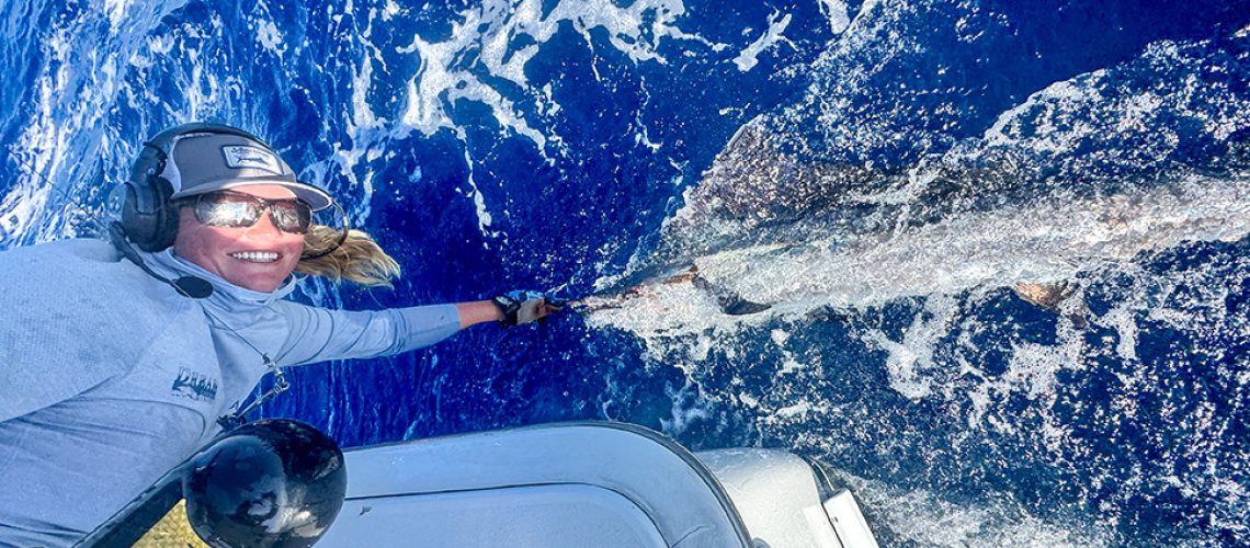 Key West fishing report sailfish release